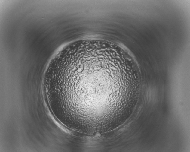 X0000080191429200612081415