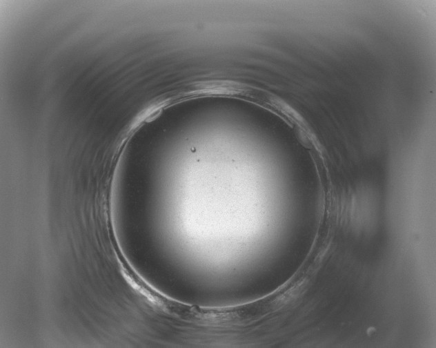 X0000080191433200612081416