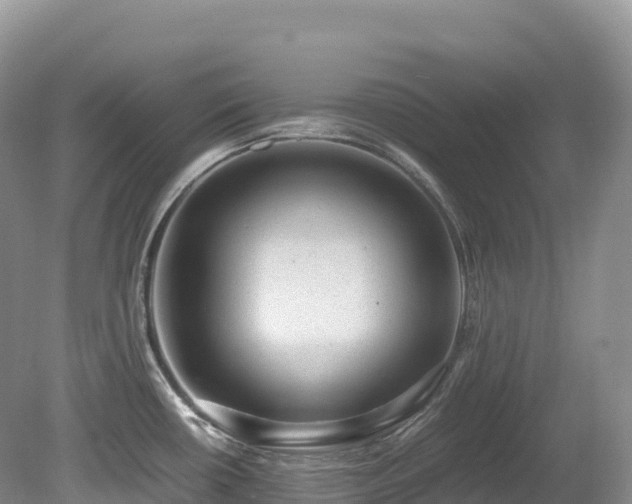 X0000080191434200612081416