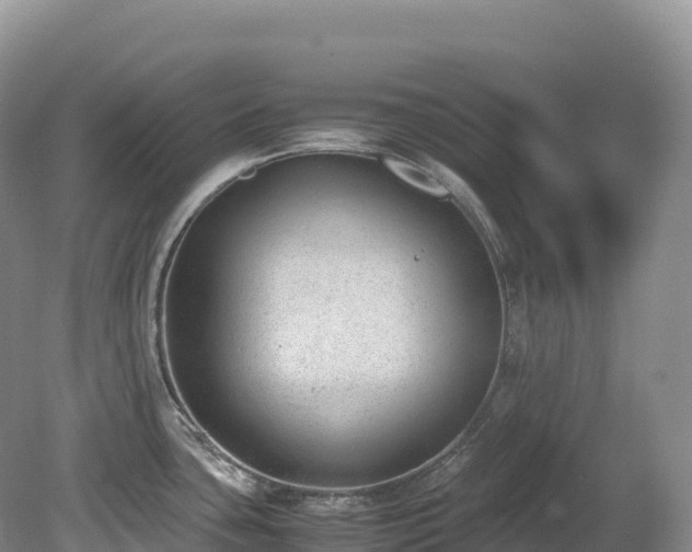 X0000080191435200612081416