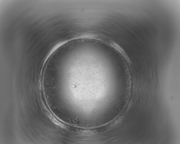 X0000080191436200612081416