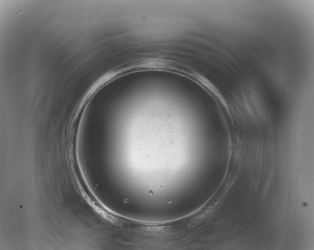 X0000080191437200612081416