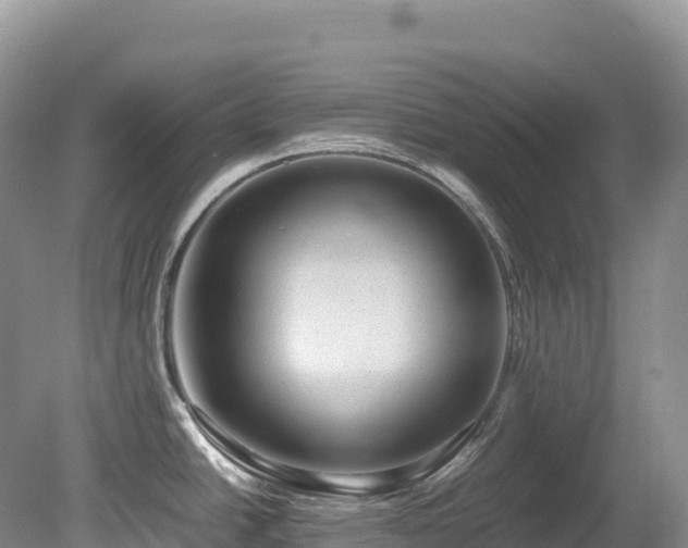 X0000080191438200612081416
