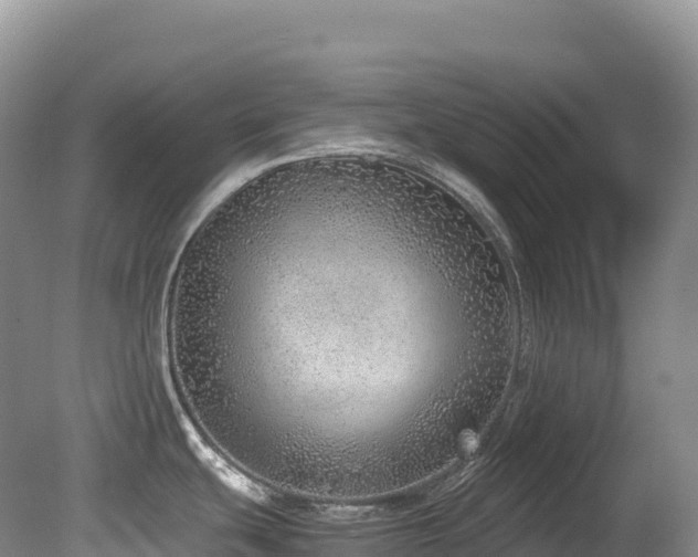 X0000080191439200612081416