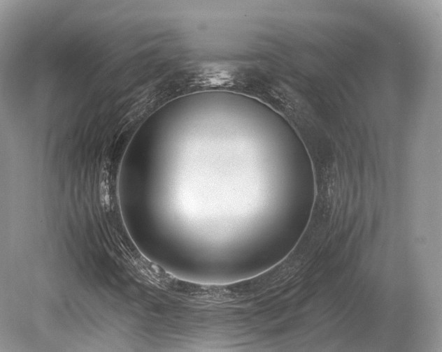 X0000080191442200612081415