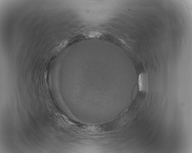 X0000080191443200612081415