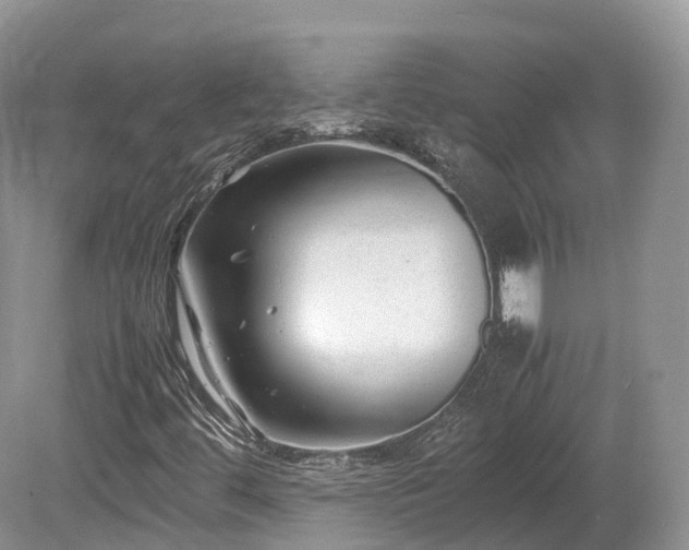 X0000080191444200612081415