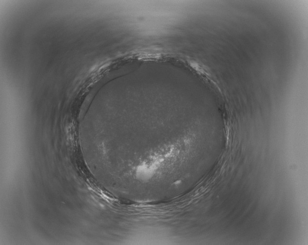 X0000080191445200612081415
