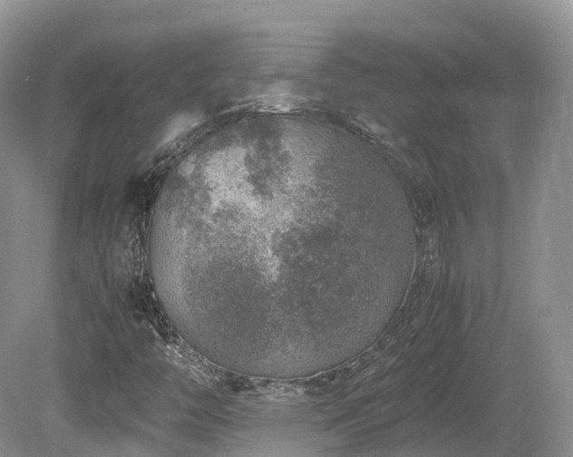 X0000080191446200612081415