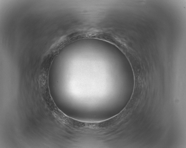 X0000080191447200612081415