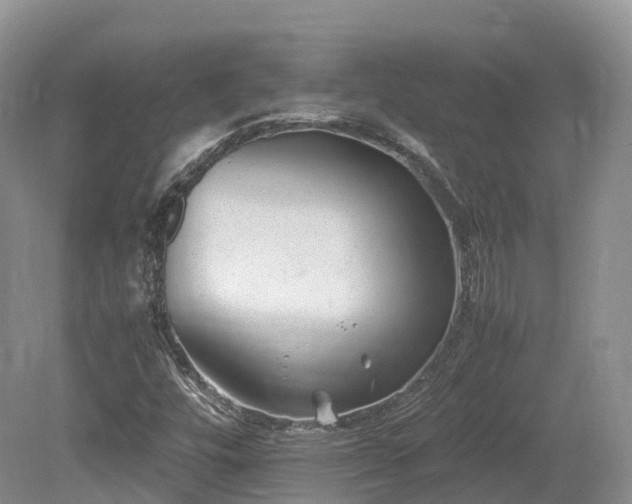 X0000080191448200612081415