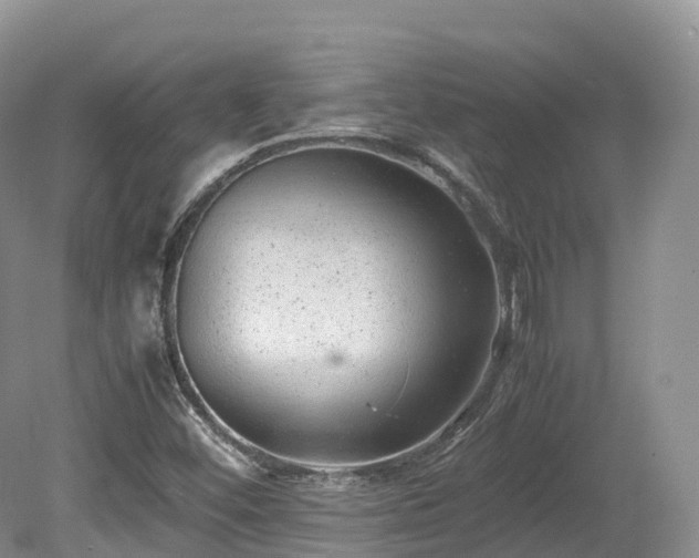 X0000080191452200612081415