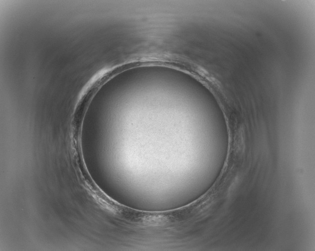 X0000080191454200612081415