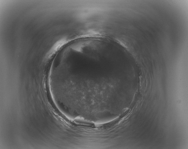 X0000080191455200612081415
