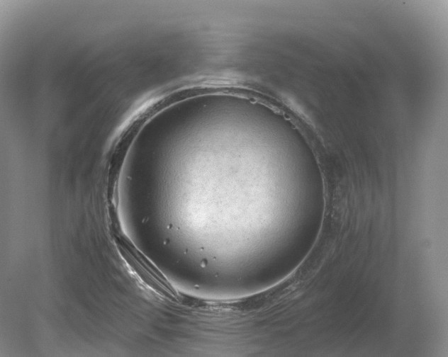X0000080191456200612081415