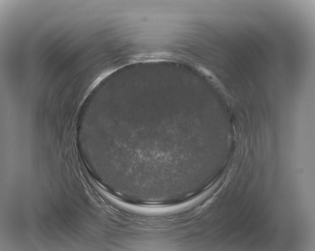 X0000080191457200612081415
