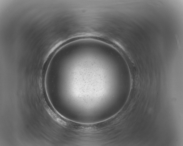 X0000080191460200612081415