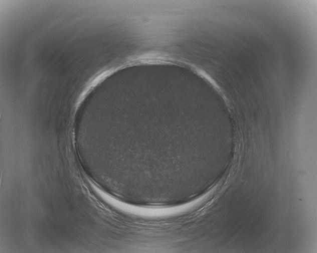 X0000080191461200612081414