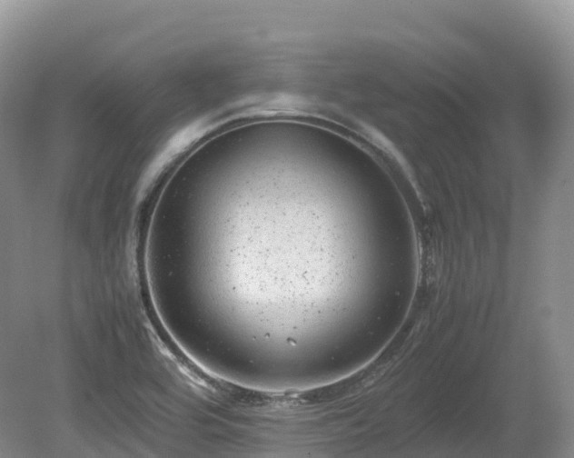 X0000080191464200612081414