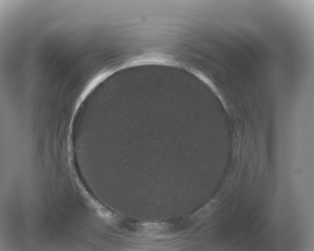 X0000080191469200612081414