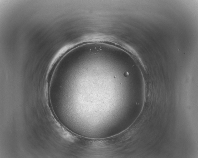 X0000080191472200612081414