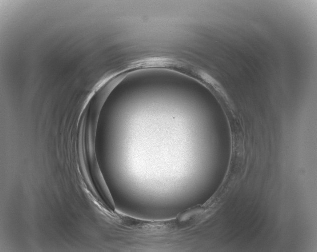X0000080191473200612081414