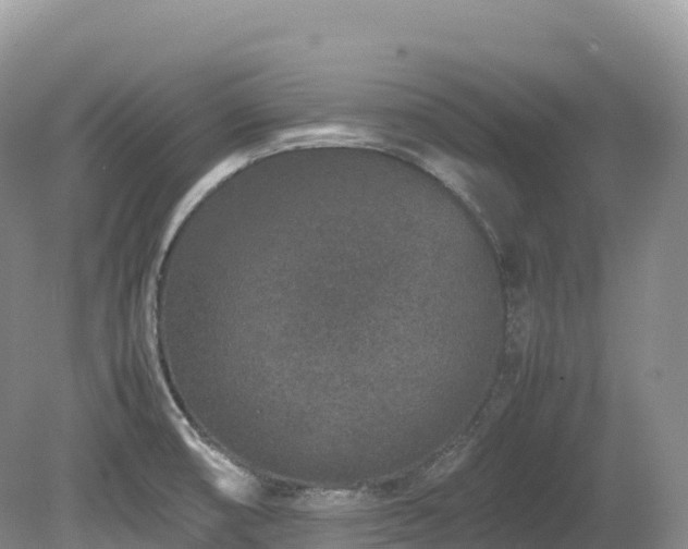 X0000080191474200612081414