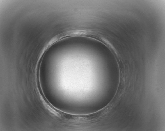 X0000080191475200612081414
