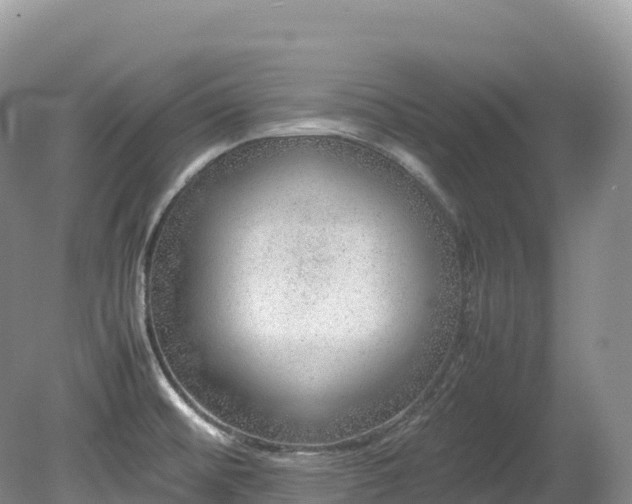 X0000080191476200612081414