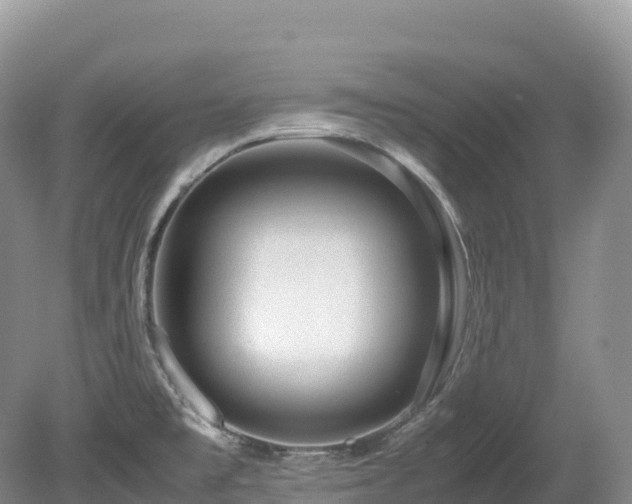 X0000080191477200612081414