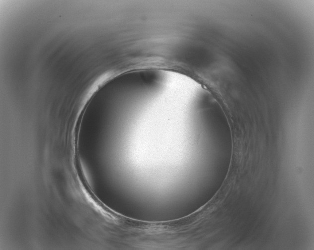 X0000080191479200612081414