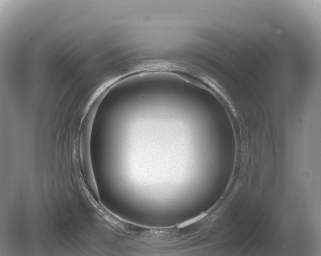 X0000080191481200612081414