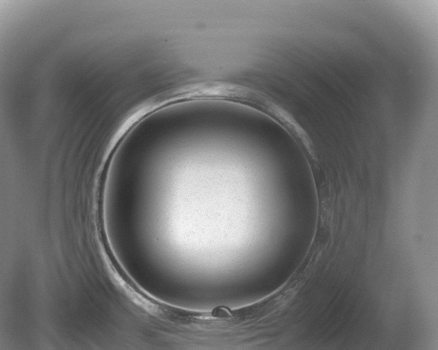 X0000080191483200612081414