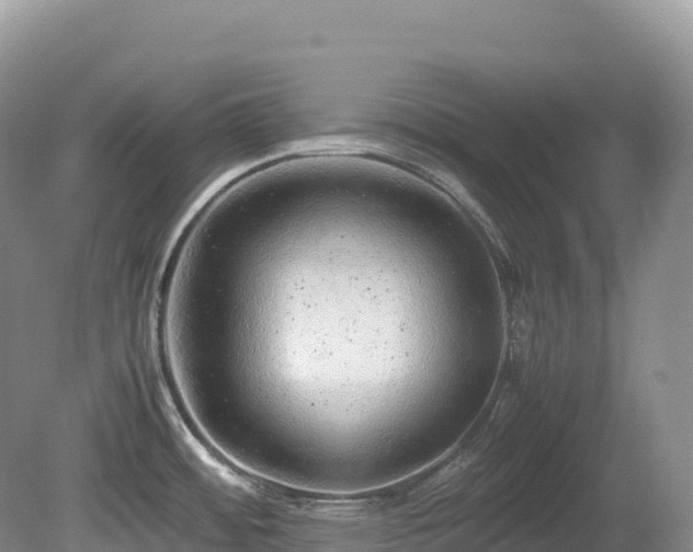X0000080191484200612081414