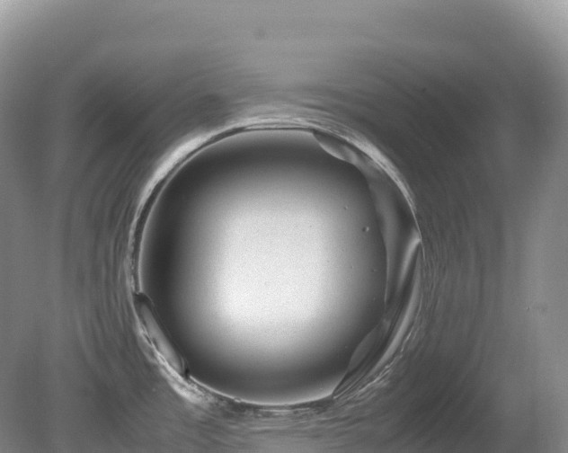 X0000080191485200612081414