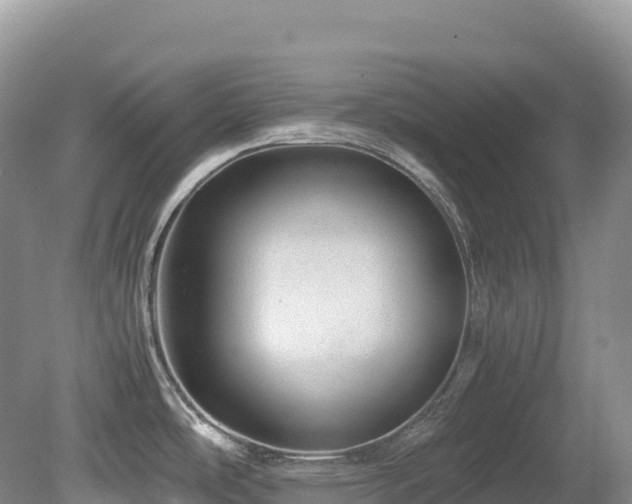 X0000080191486200612081414