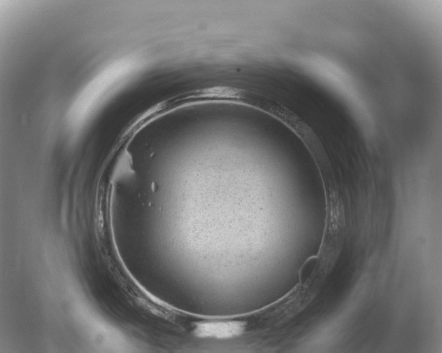 X0000080191487200612081414