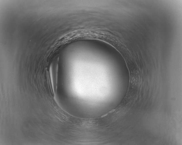 X0000080191490200612081413