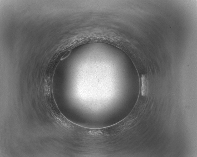 X0000080191491200612081413