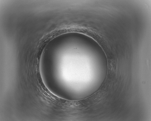 X0000080191493200612081413