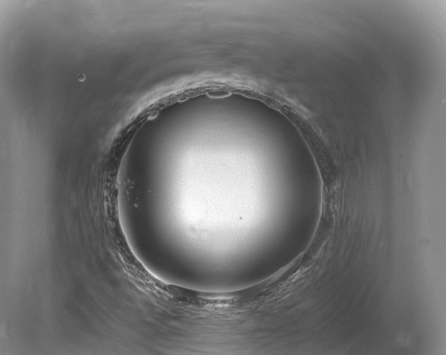 X0000080191496200612081413