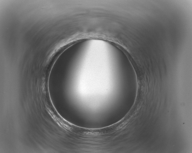 X0000080191499200612081413