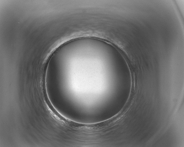 X0000080191500200612081413