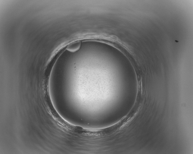 X0000080191501200612081413