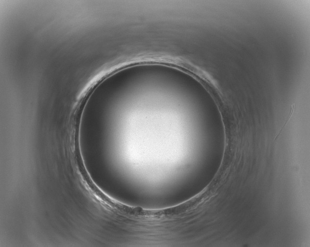 X0000080191504200612081413