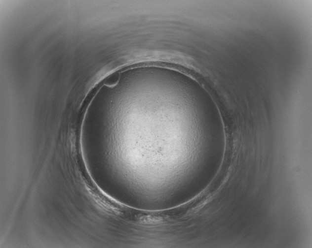X0000080191505200612081413