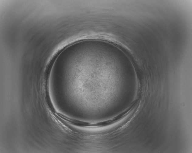 X0000080191506200612081414