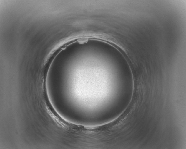 X0000080191507200612081414