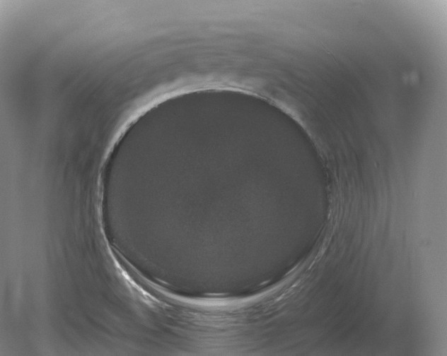 X0000080191508200612081414