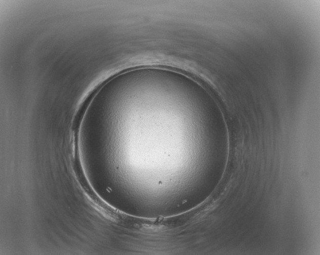X0000080191509200612081414
